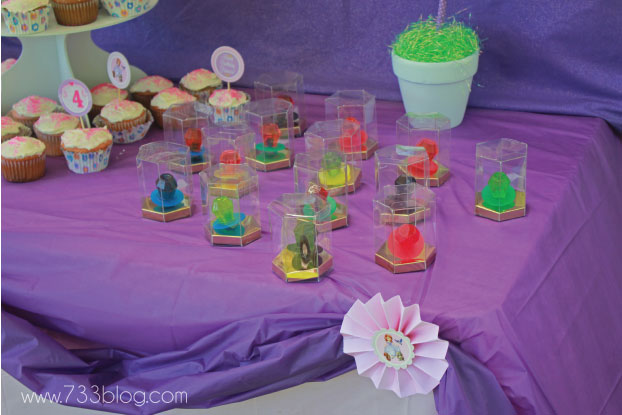 Sofia The First Birthday Party