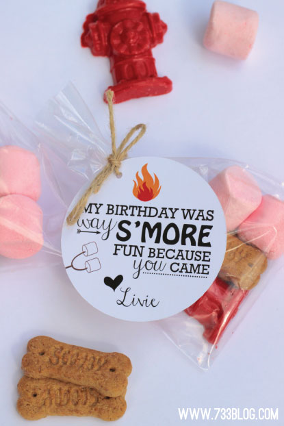 S’mores Party Favors