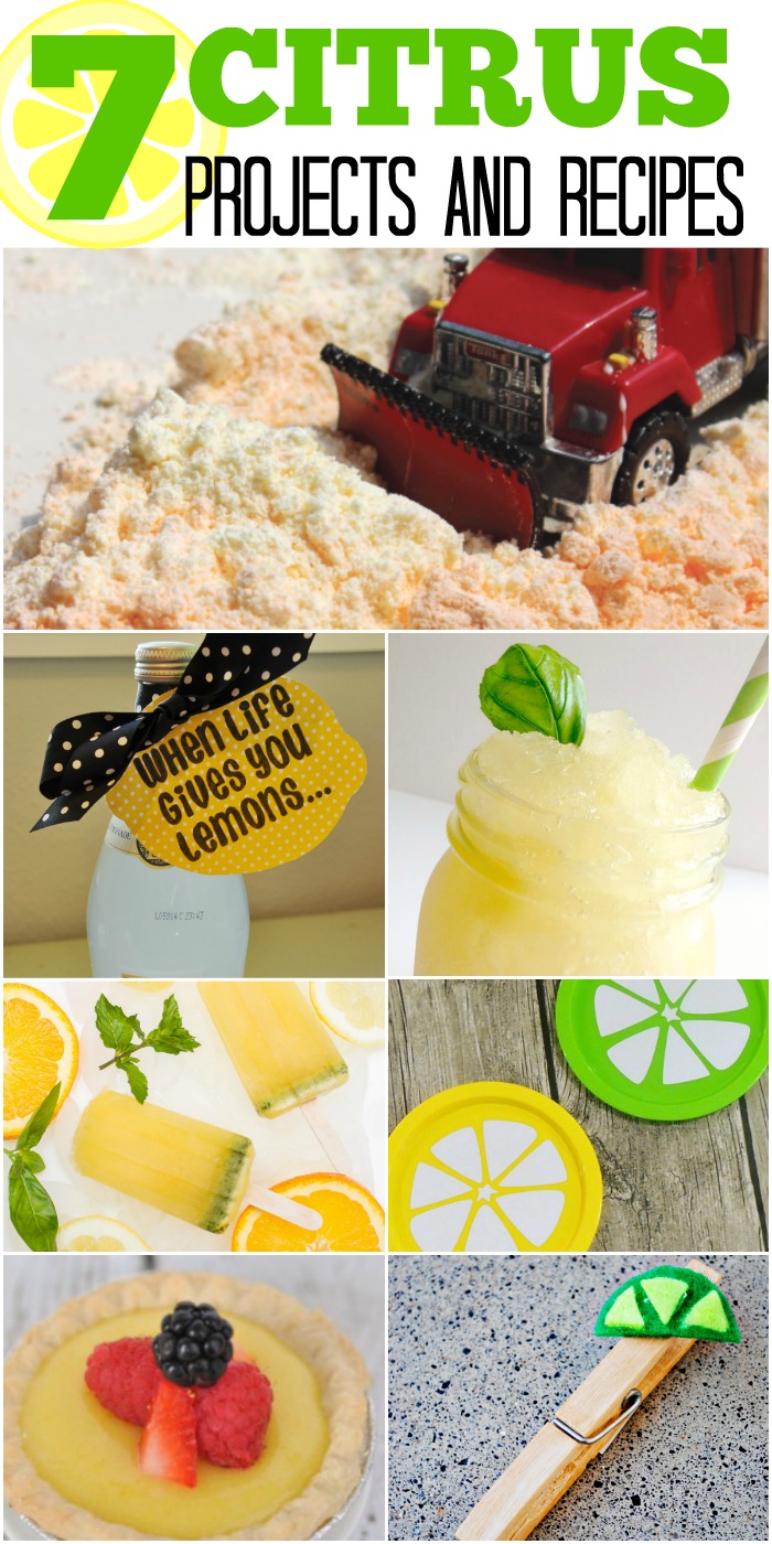 7 Simple Citrus Projects - Something for the whole family!