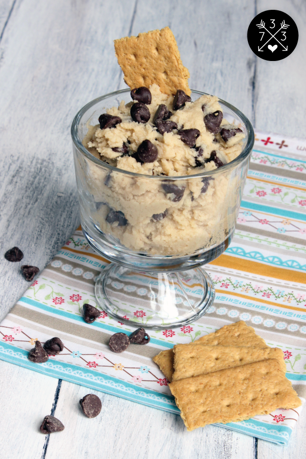Chocolate Chip Cookie Dough Dip - No Eggs and No Cream Cheese! 