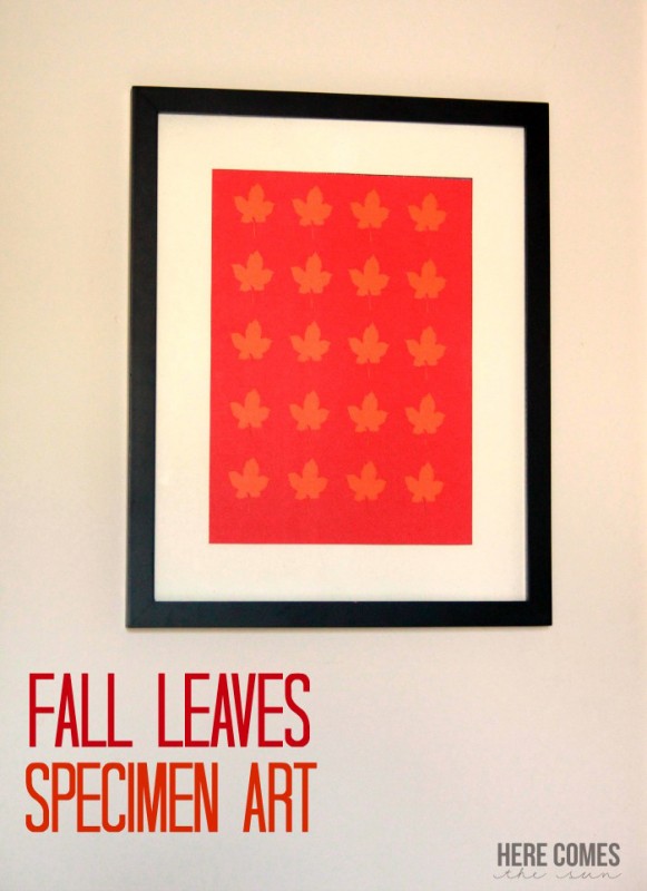Fall-Leaves-Specimen-Art