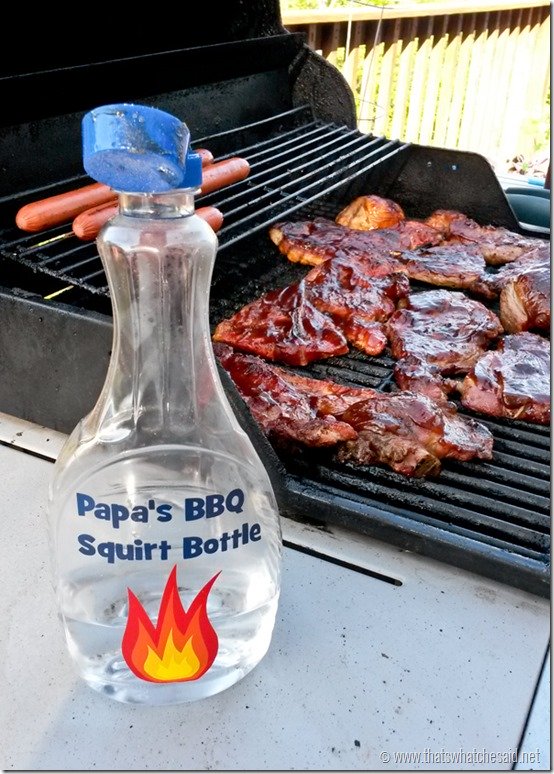 Dad's BBQ Squirt Bottle