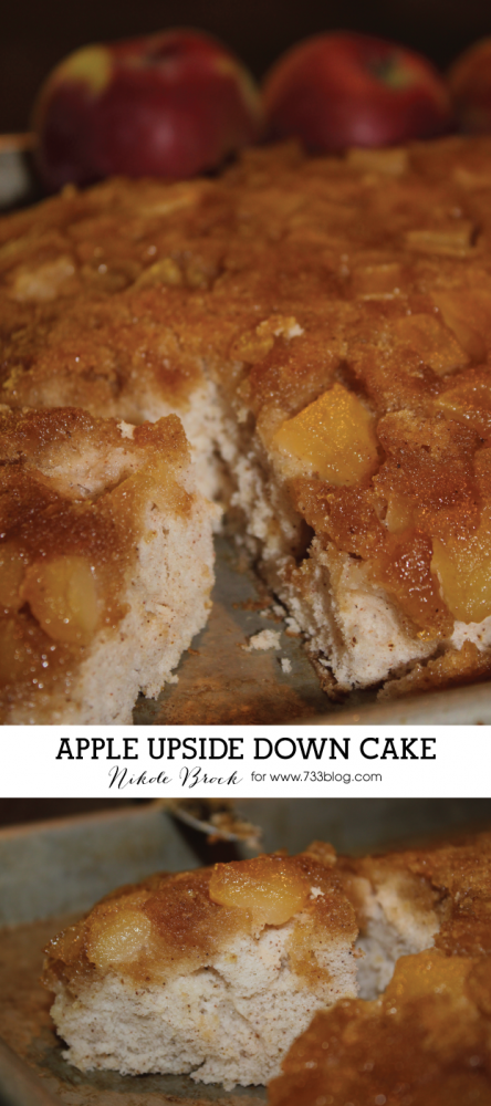 Delicious Apple Upside Down Cake Dessert Recipe