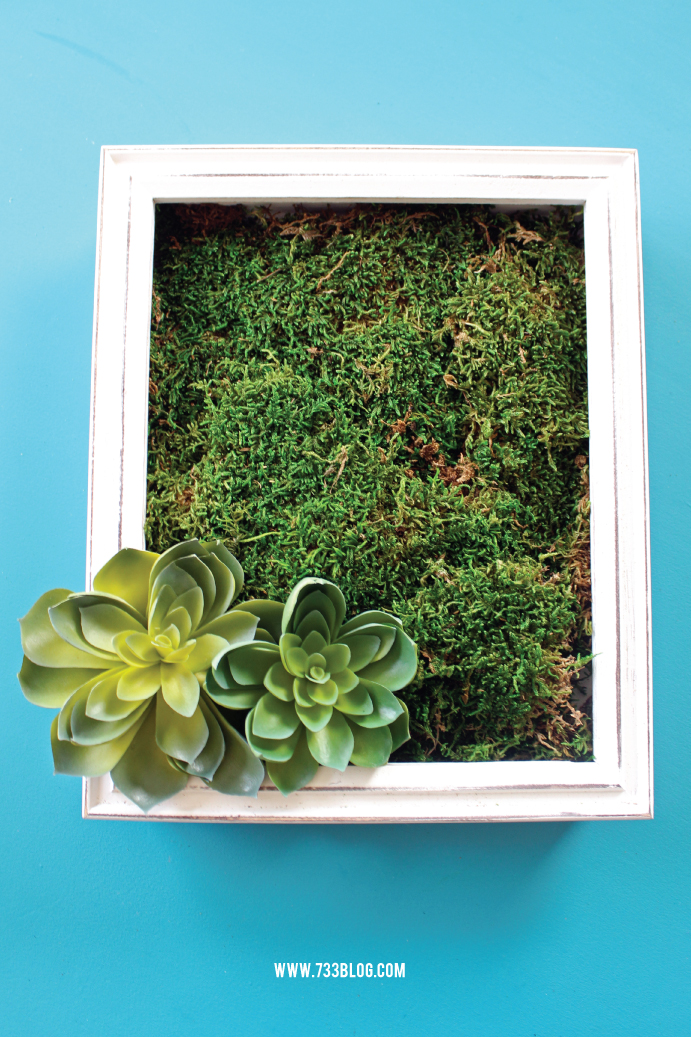 DIY Spring Shadow Box with Moss and Artificial Succulents