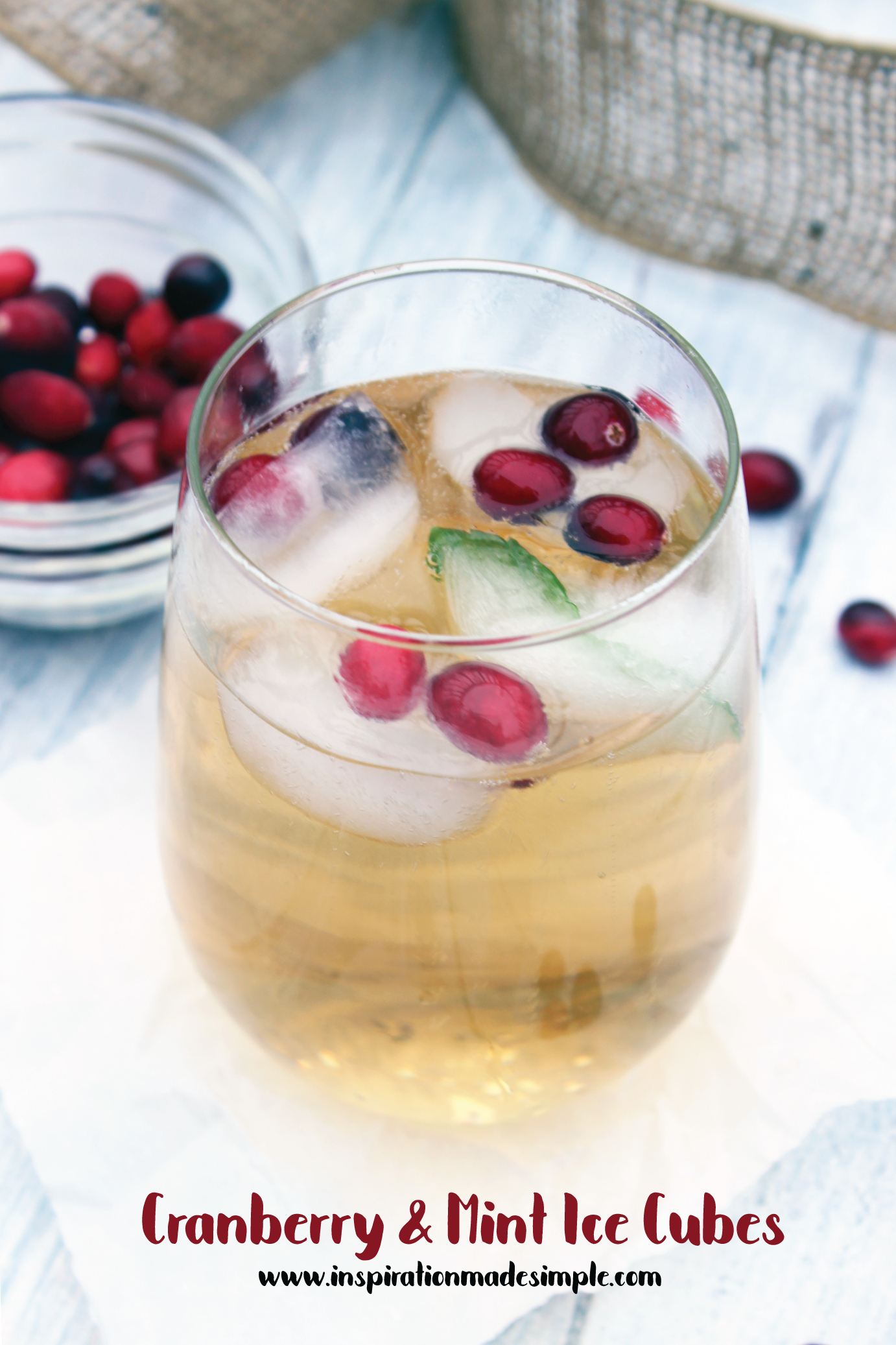 Fresh Cranberry and Mint Ice Cubes