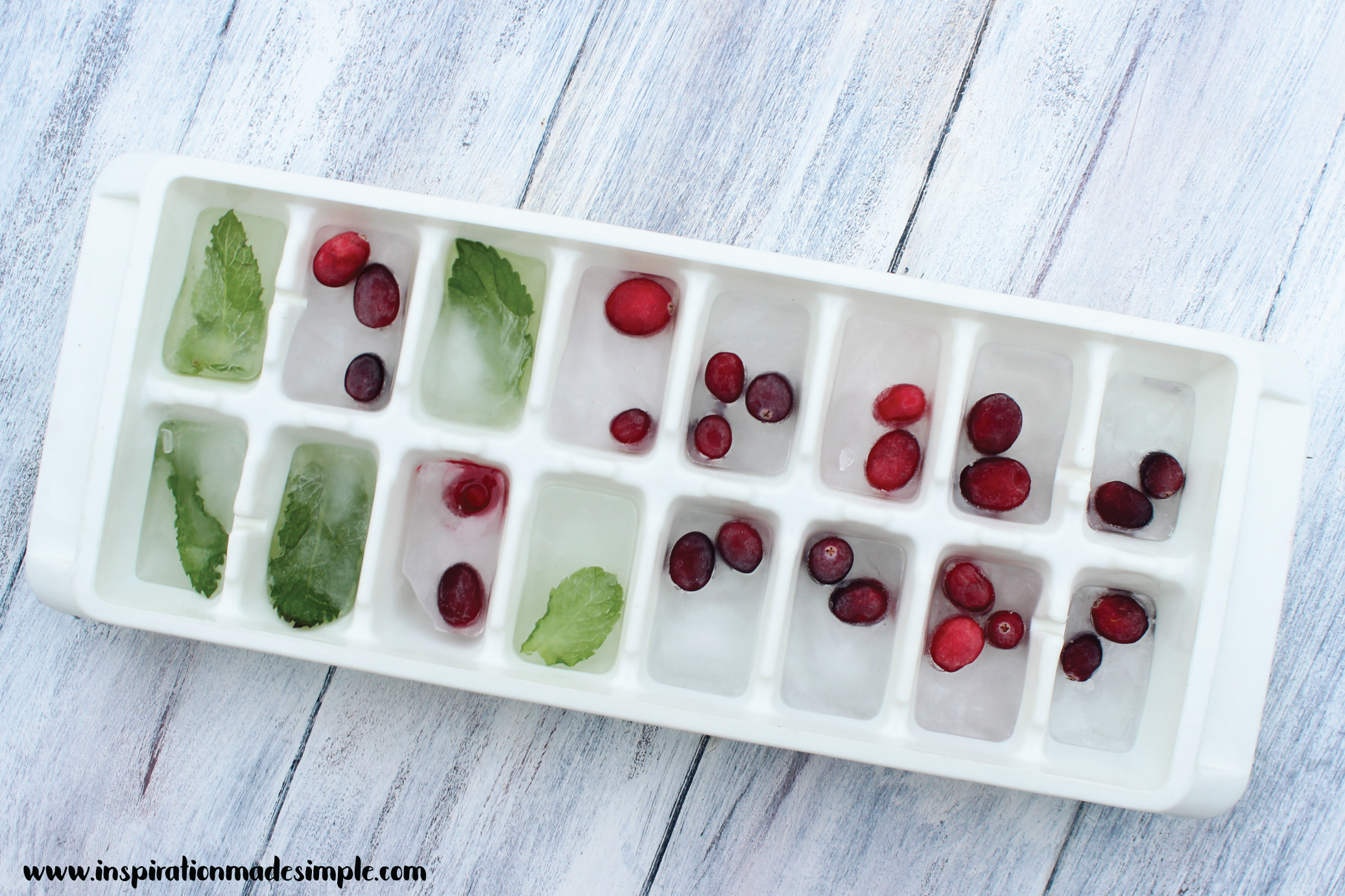 Fresh Cranberry and Mint Ice Cubes
