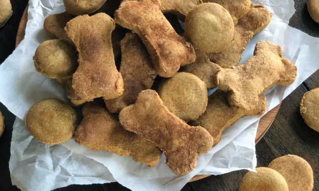 Homemade Peanut Butter Pumpkin Dog Treats